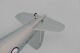 PHOENIX MODEL - PH169 Phoenix Westland Lysander - 320 cm (4ST16161)
