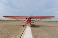 PHOENIX MODEL - Super Cub 1/4 PA-18 (4ST16126)