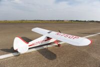 PHOENIX MODEL - Super Cub 1/4 PA-18 (4ST16126)