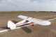 PHOENIX MODEL - Super Cub 1/4 PA-18 (4ST16126)
