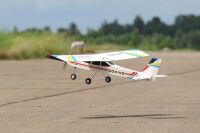 PHOENIX MODEL - Domino 46-55ccm (4ST16060)