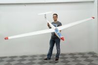 PHOENIX MODEL - GL06 ASK-21 3200mm ARF (4ST16058)
