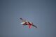 Taft Hobby - Viper Jet 1450mm Red PNP (4ST1476-RA)