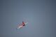 Taft Hobby - Viper Jet 1450mm Red PNP (4ST1476-RA)
