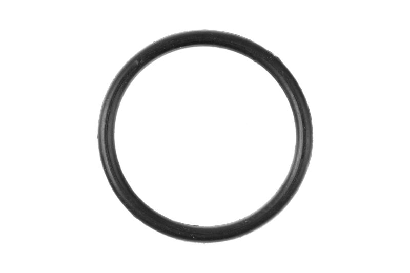 NGH - Vergaser-Dichtung (O-Ring) (NGH7304)