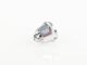 SPARMAX - Nozzle cap for DH-125 (SM2235)