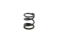 SWORKz Feder Servosaver (SW115058)