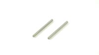 SWORKz Stift Achsschenkel hinten (2) (SW330293)