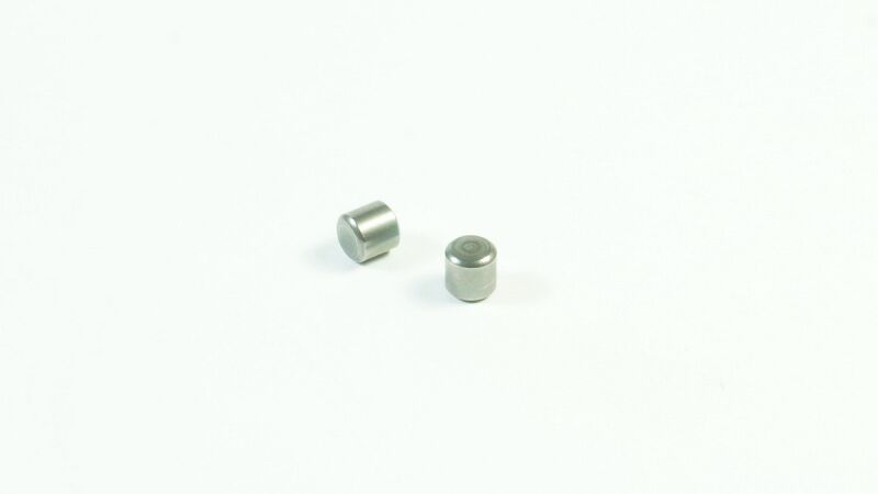 SWORKz Stift 5 x 4,9mm (2) (SW330832)