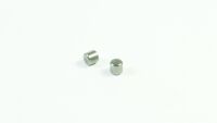 SWORKz Stift 5 x 4,9mm (2) (SW330832)