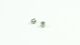 SWORKz Stift 5 x 4,9mm (2) (SW330832)