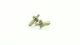 SWORKz Achse Achsschenkel vorne links & rechts Aluminium (2) (SW332014)