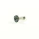 SWORKz HET Triebling 10T (SW338045)