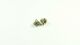SWORKz Radmitnehmer Light 5,5mm für 8mm Welle (2) (SW338080)