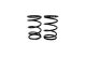 SWORKz GT Black Competition Feder Stoßdämpfer A3 (40×2.2×5.00)(GN)(2) (SWC115153A)