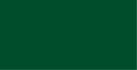 Vallejo - Premium RC - Dark green 60 ml (VA62.014)