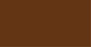 Vallejo - Premium RC - Raw Sienna 60 ml (VA62.017)