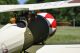 Seagull - Nieuport 28 1,72m (SEA303)