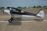 Seagull - Shock Cub 2,59m Silver (SEA357B)