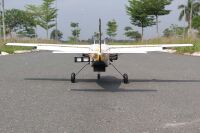 Seagull - Cessna 208 Grand Caravan EX 2,16m (SEA362Y)