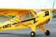 Seagull - Piper CUB 2m (SEA87)