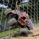 Losi - 1/18 Mini LMT Zombie 2S 4X4 RTR Brushed Monster Truck (Battery & Charger Included) Red (LOS01026T4)