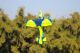 88" SkyWolf V2 grün/blau - 2240mm