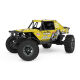 Snow Leopard brushless Crawler - 1:24