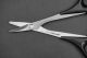 Koswork - Lexan Body Curved Scissors (KOS13221)
