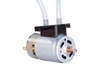Joysway - Smart Cat 2.4G RTR (4ST308204)