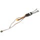 Spektrum - Avian 45-Amp Brushless Smart ESC 3S-6S (SPMXAE1045)