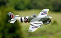 D-Power FMS Hawker Typhoon PNP - 110 cm (DPFMS086P)