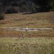 E-flite - Conscendo 2.0m BNF Basic with AS3X+ and SAFE Select (EFL32250)