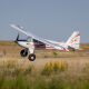 E-flite - Timber 1.5m 10th Anniversary Special Edition BNF Basic with AS3X+ and SAFE Select (EFL-3352)