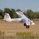 E-flite - Timber 1.5m 10th Anniversary Special Edition BNF Basic with AS3X+ and SAFE Select (EFL-3352)