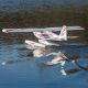 E-flite - Timber 1.5m 10th Anniversary Special Edition PNP (EFL-3353)