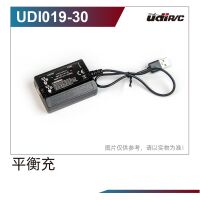 Robitronic - Ladegerät UD-UDI019-30