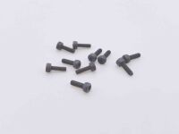 SWORKz Zylinderkopfschraube M2x6mm (10) (SW105018)