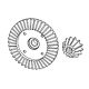 Robitronic - Hauptzahnrad (41T) & Ritzel (13T) Set (YK80034)
