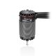 Robitronic - Xerun AXE4987SD 1600kV R3S Crawler Motor (HW30401402)