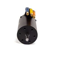 Horizon Hobby - Spektrum Firma 3668 2800Kv 4-Pole Brushless Motor 5mm (SPMXSM3400)