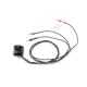 Horizon Hobby - Spektrum 1308-3700Kv 12-Pole Brushless Outrunner Motor (SPMX-1150)