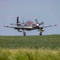 E-flite P-51D Mustang Big Beautiful Doll 1.5m BNF Basic with AS3X+ and SAFE Select (EFL-3359)