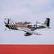 E-flite P-51D Mustang Big Beautiful Doll 1.5m PNP (EFL-3360)