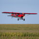 Carbon Cub 15cc ARF - 2286mm