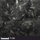 R&G - carbon fibre chip 3mm - 100g